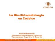 BioHidrometalurgia P_Morales.pdf
