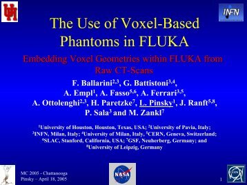 The Use of Voxel-Based Human Phantoms in FLUKA