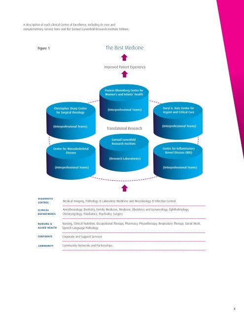 Mount Sinai Hospital Strategic Plan 2010-2013