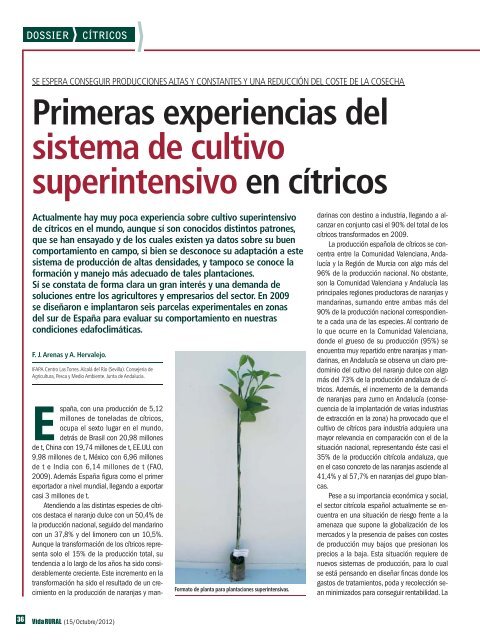 Primeras experiencias del sistema de cultivo superintensivo en cÃ­tricos