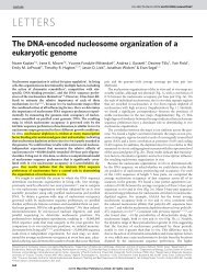 The DNA-encoded nucleosome organization of a eukaryotic genome