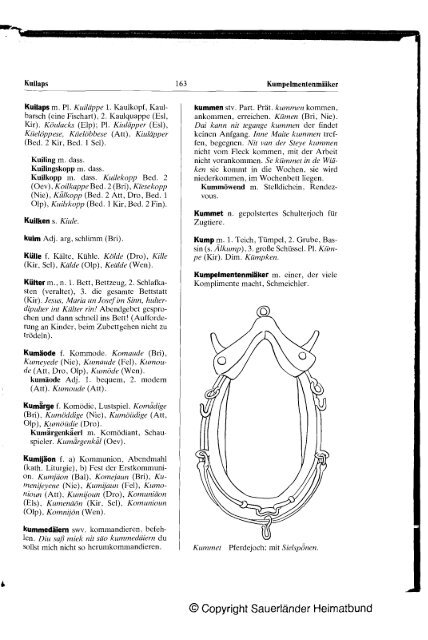 Plattdeutsches Wörterbuch des kurkölnischen Sauerlandes