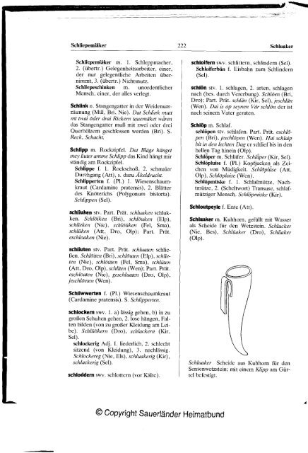 Plattdeutsches Wörterbuch des kurkölnischen Sauerlandes