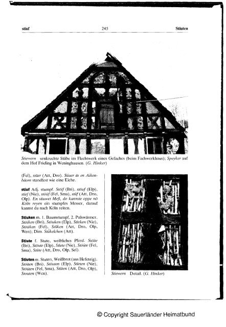 Plattdeutsches Wörterbuch des kurkölnischen Sauerlandes