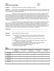 Lab: Name Bubble Gum Sugar Mass Date