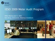 IESO 2009 Meter Audit Program