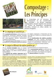 Compostage : les principes - CAS