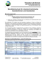 Infoblatt - Theodor-Litt-Schule - Stadt NeumÃ¼nster