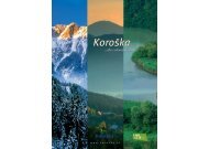 Koro{ka - Meziska dolina