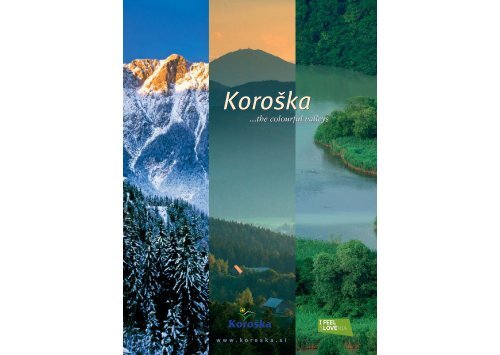 Koro{ka - Meziska dolina