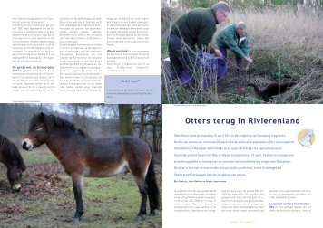 Otters terug in rivierenland in Zoogdier - ARK Natuurontwikkeling