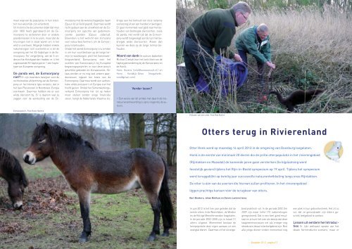 Otters terug in rivierenland in Zoogdier - ARK Natuurontwikkeling