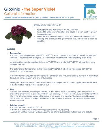 Gloxinia - the Super Violet - Cultural Sheet (PDF) - ForemostCo