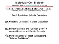 Molecular Cell Biology 6/e - CC