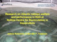 Research on Atlantic salmon welfare and performance at Nofima ...
