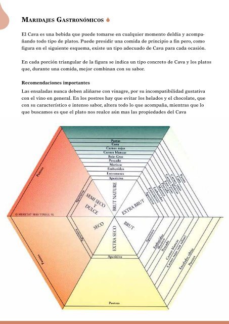 Los secretos del Cava MasTinell - Viajeros del Vino