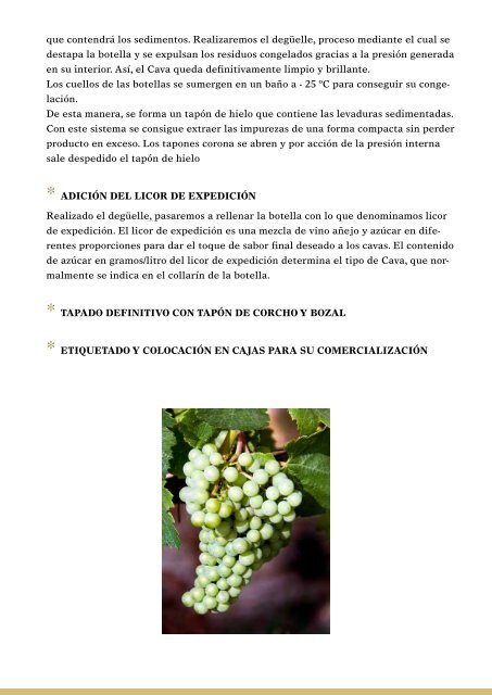 Los secretos del Cava MasTinell - Viajeros del Vino