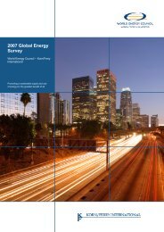 Full Version (PDF, 2000KB) - World Energy Council