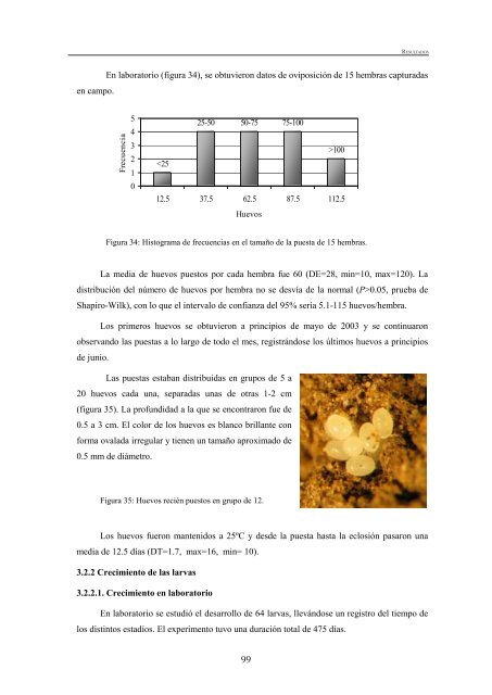 BiologÃ­a del gusano de alambre (Agriotes spp.) - Nasdap.ejgv ...