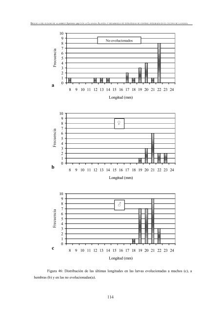 BiologÃ­a del gusano de alambre (Agriotes spp.) - Nasdap.ejgv ...