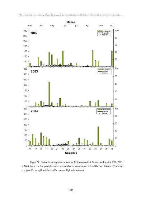 BiologÃ­a del gusano de alambre (Agriotes spp.) - Nasdap.ejgv ...