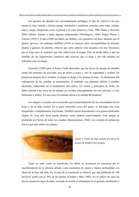 BiologÃ­a del gusano de alambre (Agriotes spp.) - Nasdap.ejgv ...