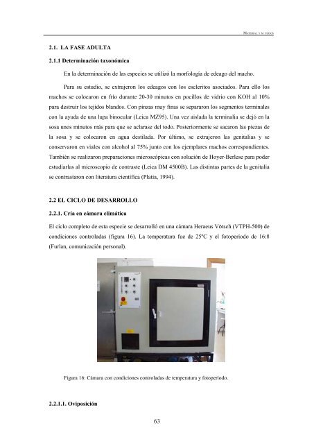 BiologÃ­a del gusano de alambre (Agriotes spp.) - Nasdap.ejgv ...