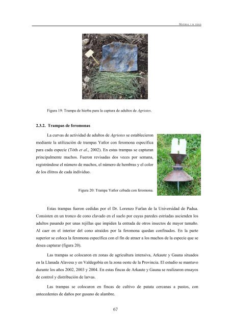 BiologÃ­a del gusano de alambre (Agriotes spp.) - Nasdap.ejgv ...