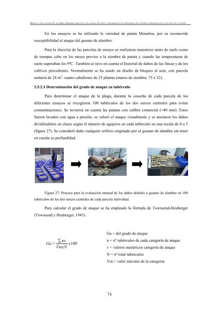 BiologÃ­a del gusano de alambre (Agriotes spp.) - Nasdap.ejgv ...