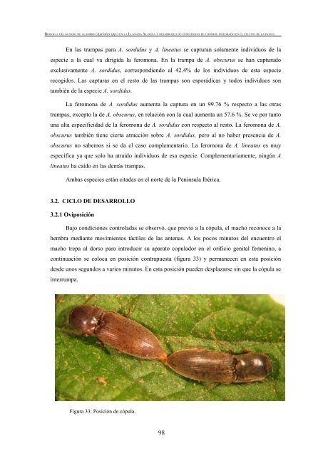 BiologÃ­a del gusano de alambre (Agriotes spp.) - Nasdap.ejgv ...