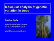 M3S2 Genetic Diversity.pdf