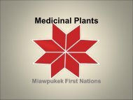 Medicinal Plants