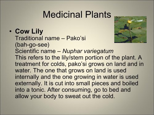 Medicinal Plants