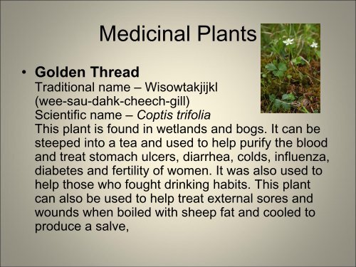 Medicinal Plants