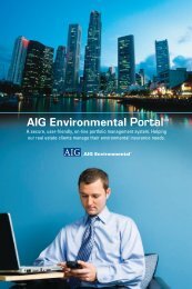 AIG Environmental Portal Brochure - AIG.com