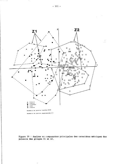 rÃ©vision systÃ©matique des clupeidae d'eau douce de l'ouest et du ...