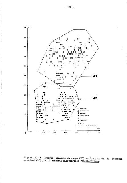 rÃ©vision systÃ©matique des clupeidae d'eau douce de l'ouest et du ...