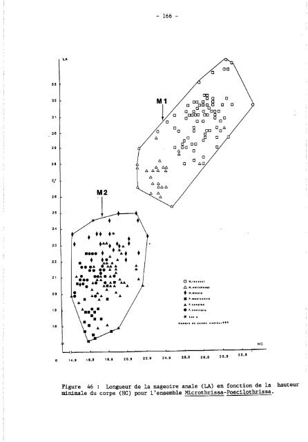 rÃ©vision systÃ©matique des clupeidae d'eau douce de l'ouest et du ...