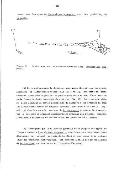 rÃ©vision systÃ©matique des clupeidae d'eau douce de l'ouest et du ...