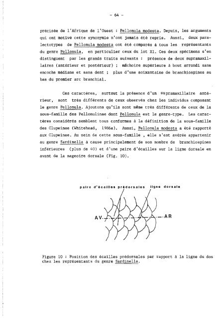 rÃ©vision systÃ©matique des clupeidae d'eau douce de l'ouest et du ...