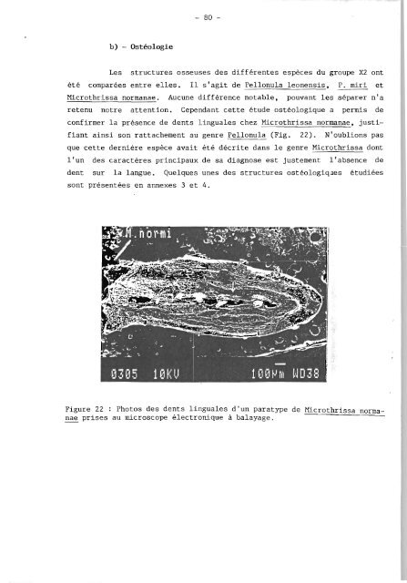 rÃ©vision systÃ©matique des clupeidae d'eau douce de l'ouest et du ...