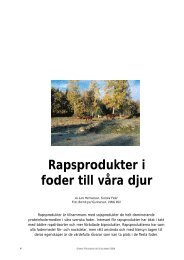 Rapsprodukter i foder till vÃ¥ra djur - Svensk Raps