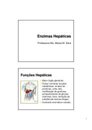 Enzimas Hepaticas.pdf - Ucg