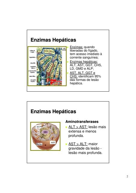 Enzimas Hepaticas.pdf - Ucg