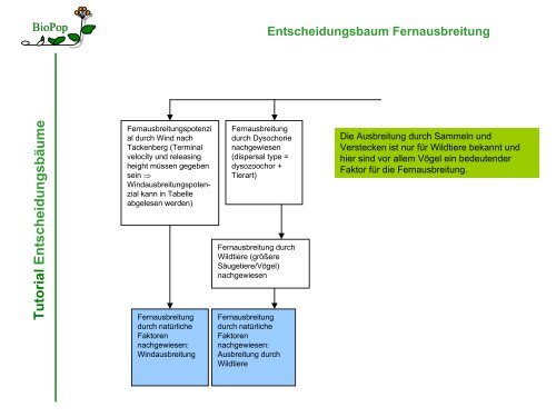 Tutorial Entscheidungsbäume - FloraWeb