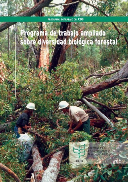 Programa de trabajo ampliado sobre diversidad biolÃ³gica forestal