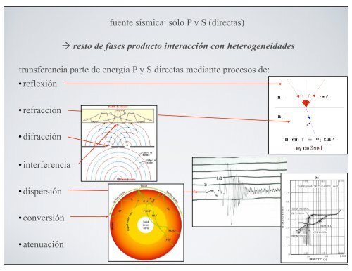 3.2 - FASES SÃSMICAS