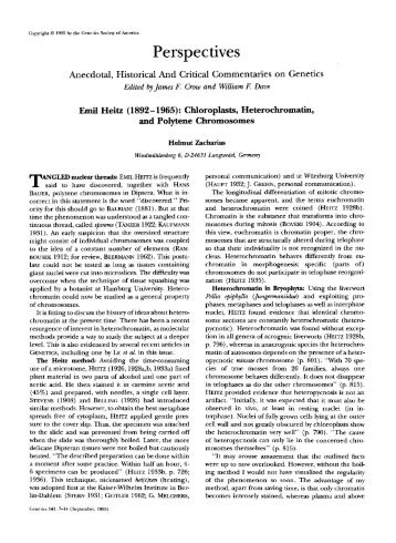 Emil Heitz (1892-1965): chloroplasts, heterochromatin, and polytene ...