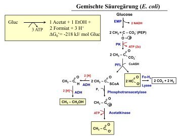 Stoffkreisläufe 4-5