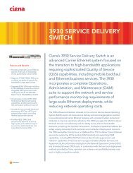 Ciena 3930 Brochure - LightRiver Technologies, Inc.